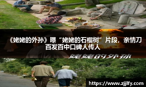 星亿娱乐：《姥姥的外孙》曝“姥姥的石榴树”片段，亲情刀百发百中口碑人传人